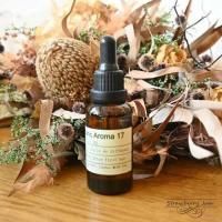 L3708-18 ѹ ƥꥢ  ǥե塼 Charabanc Aroma å󥷥륪 17  ޥǥե塼  ꥹ