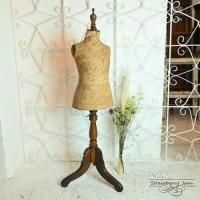 L3705-18 ѹ񥢥ƥ 㥤 Torso ȥ륽 ƥꥢ ȥꥢ ȥ륽 ޥͥ ꥹ
