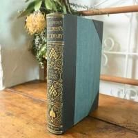 L3705-285-5 ѹơ 쥶֥å ƥ֥å ν Ž ƥꥢ ꥹ