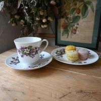 L3710-218 ѹ񥢥ƥ 롦 Royal Tuscan  C&S  åס ꥹ