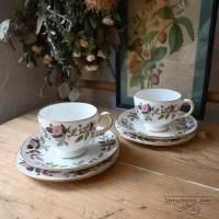 L3710-219-1 ѹ񥢥ƥ Wedgwood åå     C&S å& ꥹ