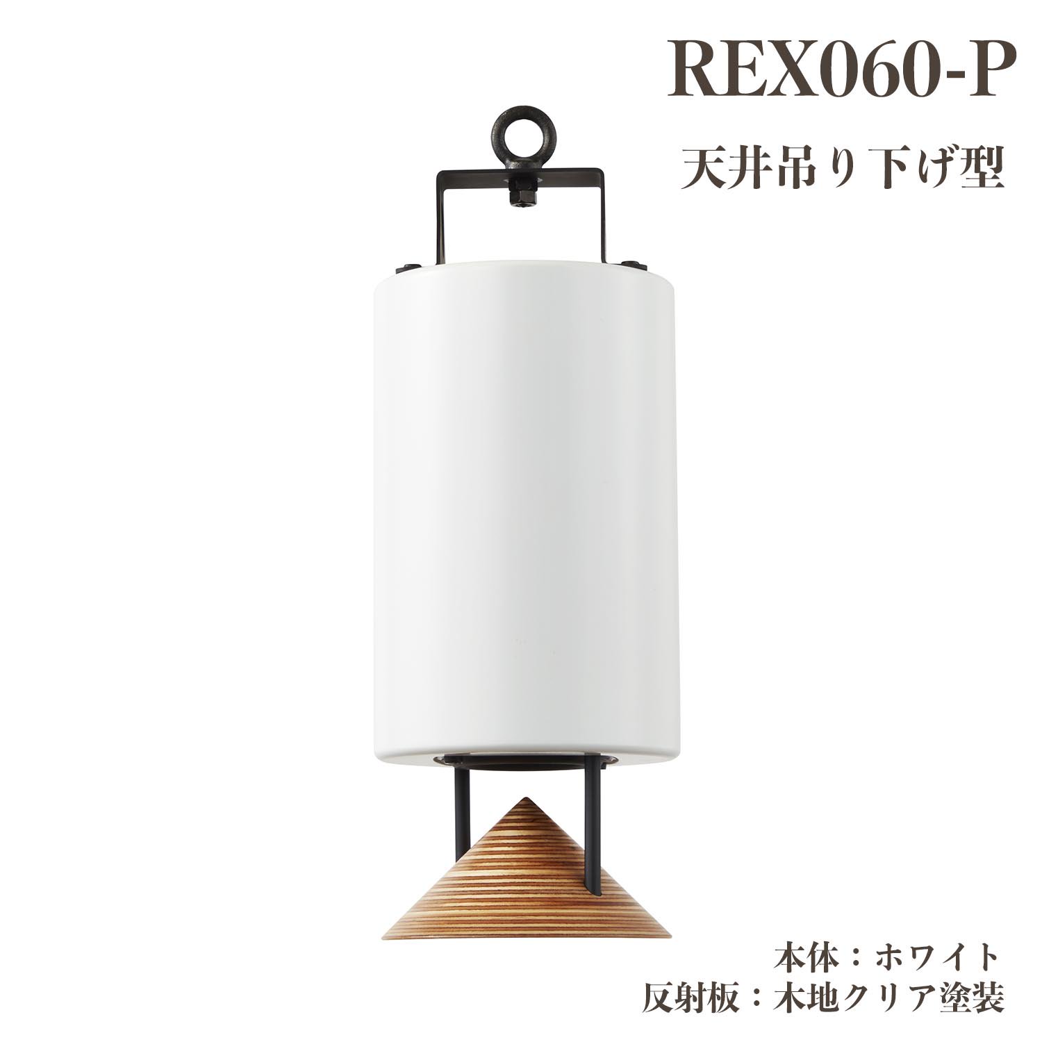 REX060-P