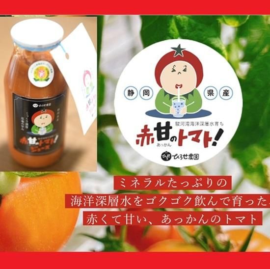 このこのごはん ドライフード 2026年賞味期限 コノコトトモニ このこのごはん 1㎏×4袋 賞味期限 2026.06.22
