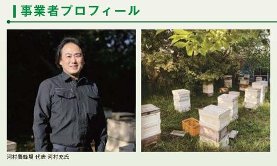 うっちゃん秘宝5.8ml天国の睡蓮Heaven Lotusプラチナセール② Lotus seeds 莲子1lb – New York Tong Ren Tang 纽约同仁堂