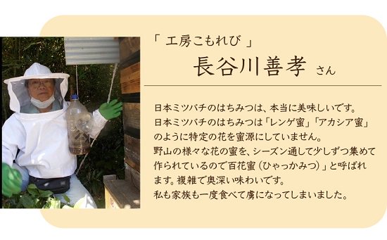 日本ミツバチを採種する長谷川さん