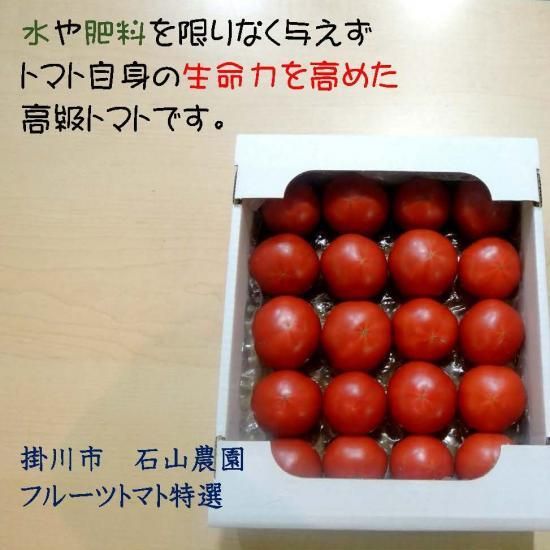 フルーツトマト フルーツトマト