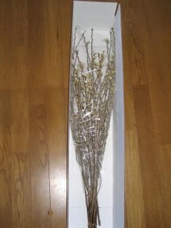 ¡ÚͽÌóÈÎÇä¡ÛÅߤ˺餯ºù¡¡Ìó50¡Á70?ÀÚ¤ê²Ö¡¡7ËÜÆþ¤ê¡Ê·¼²§ºù¡¿»³·Á¤ª¤Ð¤³¡Ë