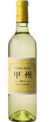 2024 ȥ饹ȹý ζƺʿɸ˿ȯ䡪<img class='new_mark_img2' src='https://img.shop-pro.jp/img/new/icons1.gif' style='border:none;display:inline;margin:0px;padding:0px;width:auto;' />