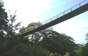 金洗沢森林公園内のつり橋