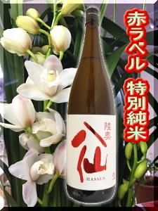 Ȭ硦֥٥1800ͣ