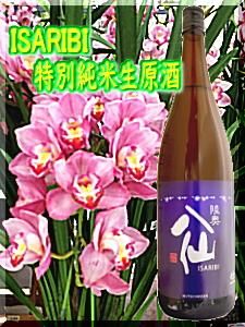 ΦȬ硦ISARIBI̽ơ򥤥᡼