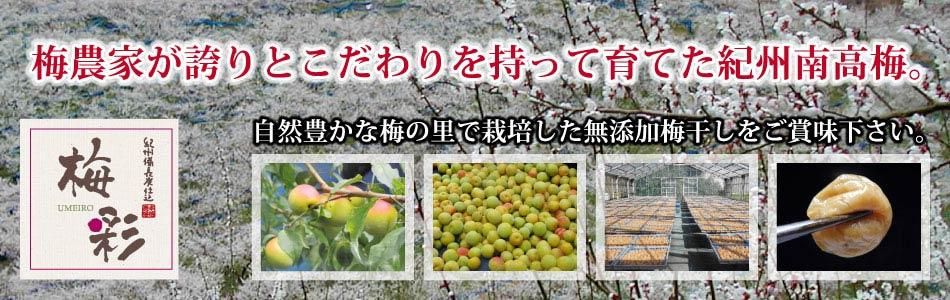 ߤʤ٤ľߴ,Ĺú,/ߺ̥롼/ᤤ롼