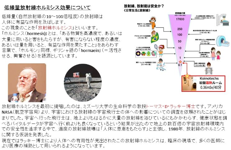 コイノテックス カンジンベルト 腰ワイド 【メーカー直送品】 - 自然