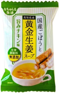 イー・有機生活　国産ごぼうと黄金生姜スープ　9g×10袋