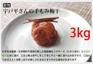 <img class='new_mark_img1' src='https://img.shop-pro.jp/img/new/icons29.gif' style='border:none;display:inline;margin:0px;padding:0px;width:auto;' />ڿʪ۱ʿμߴ3kgڣǯ裱ڤʬ