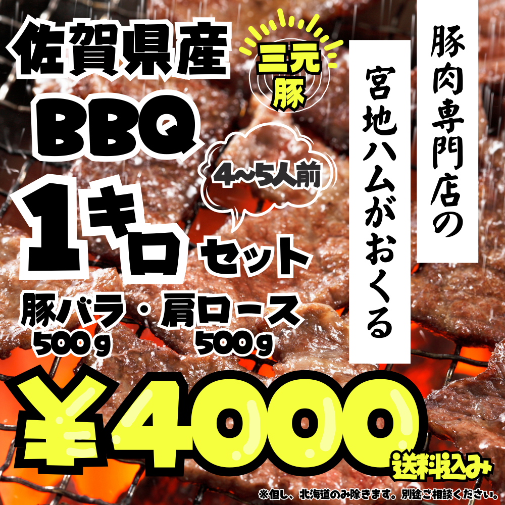 佐賀県産三元豚豚肉のBBQ１キロセット（送料込み）の商品画像
