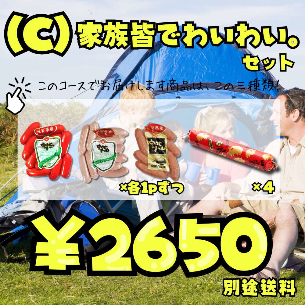 <img class='new_mark_img1' src='https://img.shop-pro.jp/img/new/icons29.gif' style='border:none;display:inline;margin:0px;padding:0px;width:auto;' />C˲²ߤʤǤ襤襤åȤξʲ
