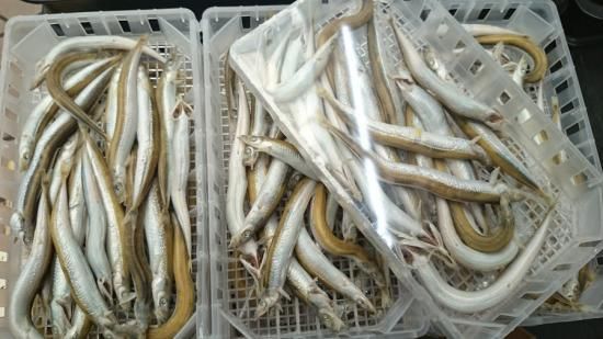 ふるせ 釜揚げ 明石 魚の棚 白川南店 通販ショップ