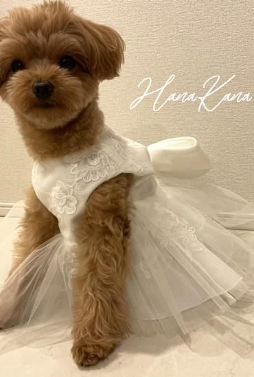 小型犬用ワンピースドレスへリメイク。   思い出のウェディングドレスや服をアレンジします。リメイクの