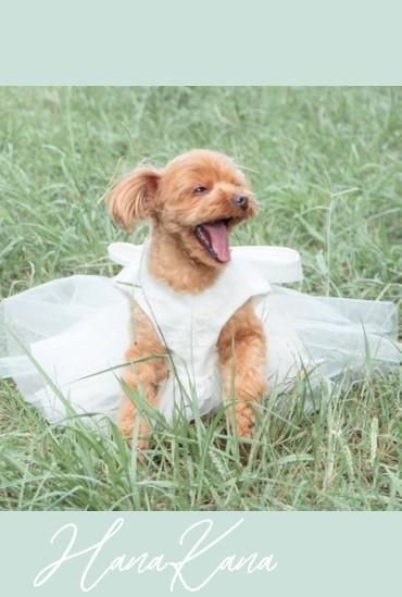 小型犬用ワンピースドレス・タキシードへリメイク。 - 思い出の