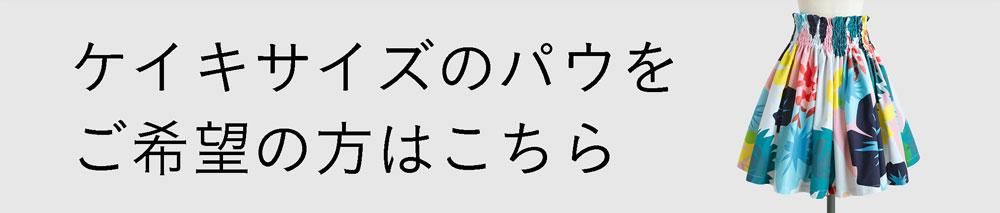 ꥶѥХʡ