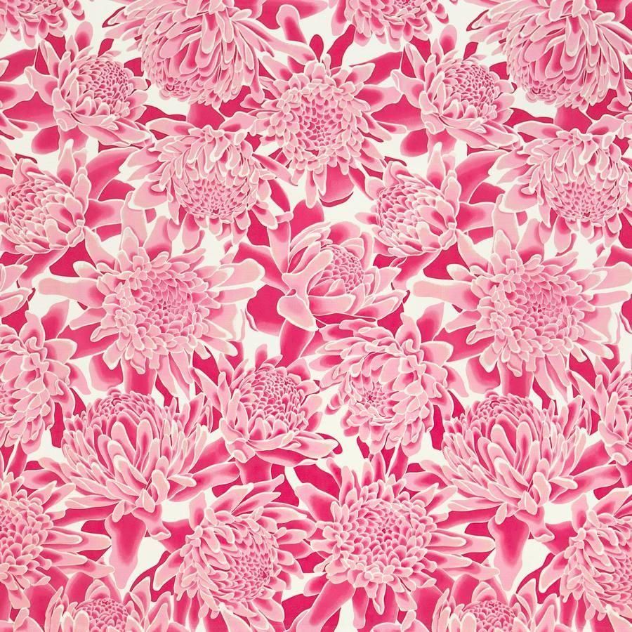 商品検索 - トーチジンジャー-Torch Ginger