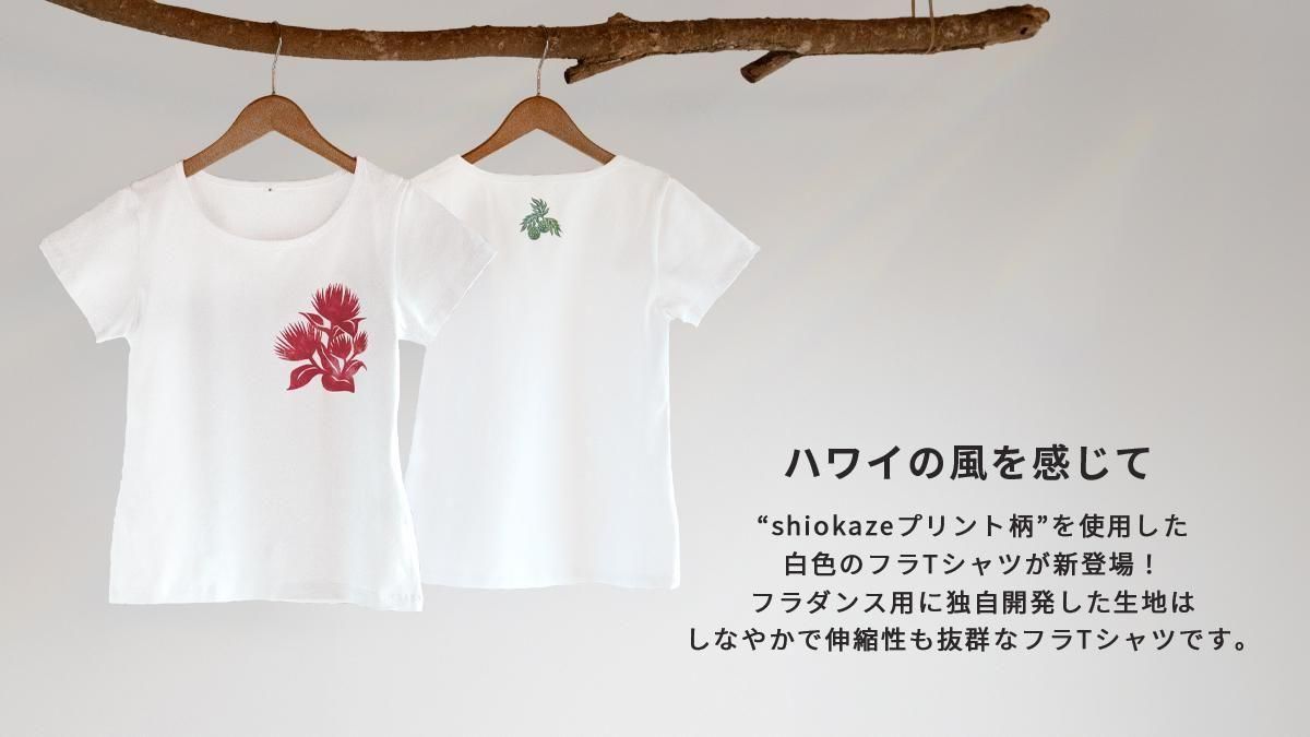 ブルーヘヴンカンパニー