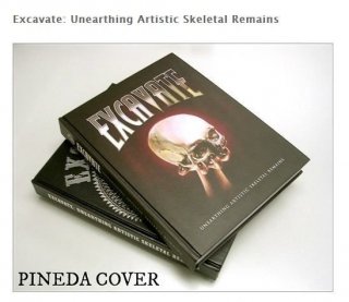 Excavate: Unearthing Artistic Skeletal Remains ϡɥС