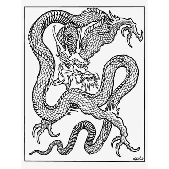 希少　参考書　Dragon Tattoos カラー デザインドラゴン　タトゥー 希少 参考書 Dragon Tattoos カラー デザインドラゴン タトゥー