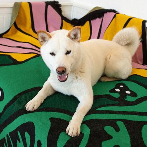 hide【新品未開封】ブランケット サイケデリックペイント hide【新品未開封】ブランケット サイケデリックペイント