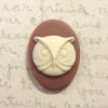 Acrylic Owl face cameo Ivory on Dark Cornerian 25x18mm