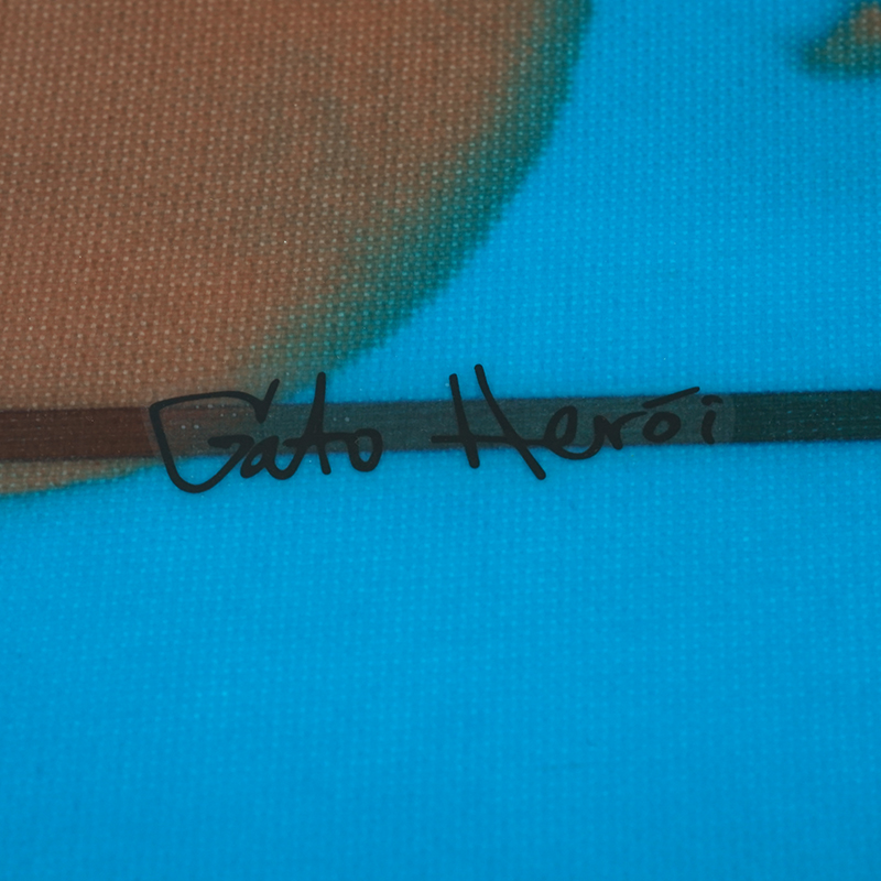 ロングボード専門店シーコングのガトヘロイの在庫