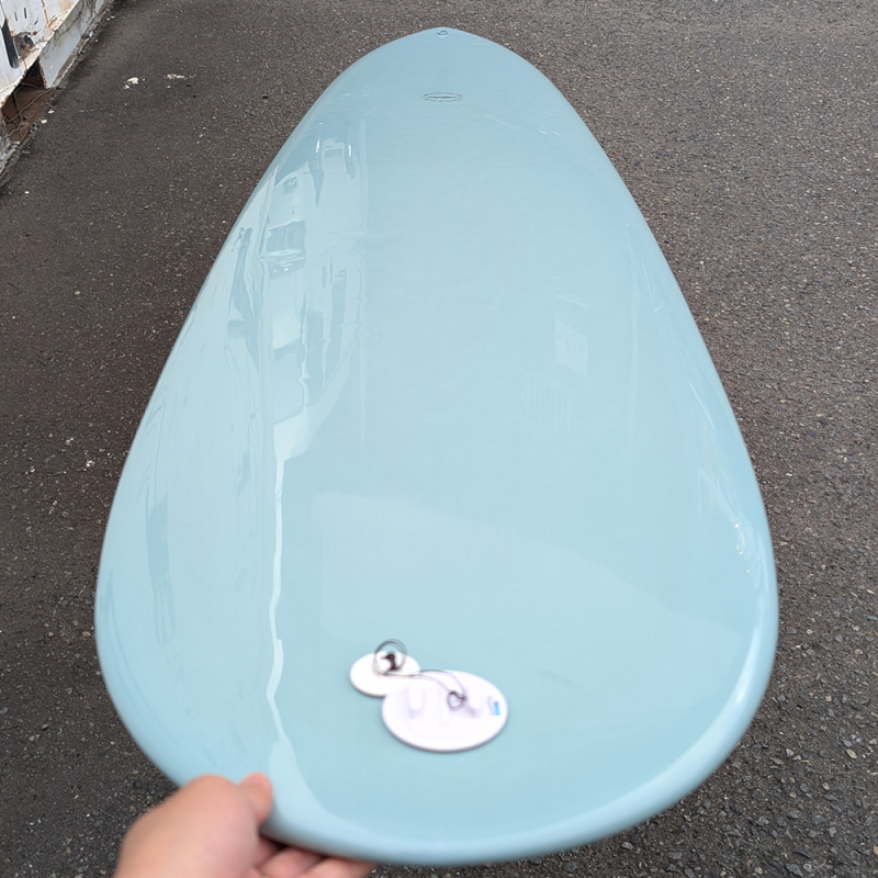9'1 アロハ | ピンテールノーズライダー - ロングボードの