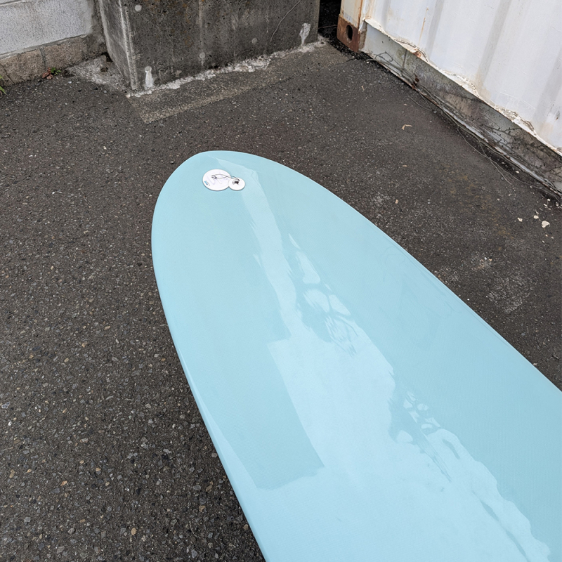 9'1 アロハ | ピンテールノーズライダー - ロングボードの