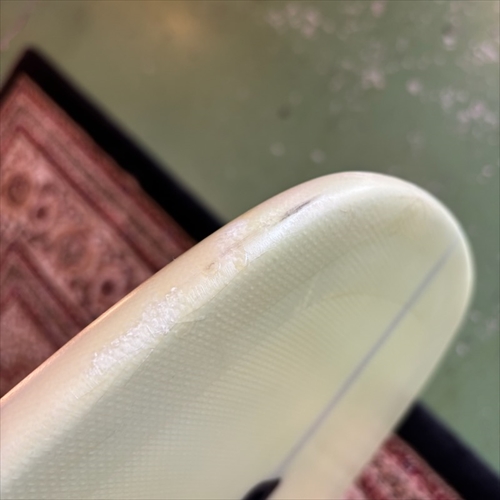 カリフォルニア一流人気ブランドのロングボード専門店シーコング