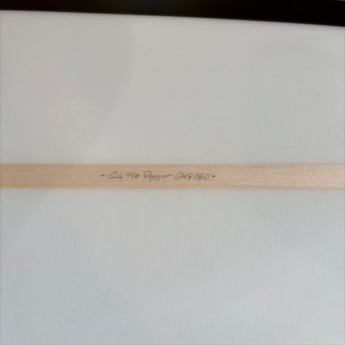 カリフォルニア一流人気ブランドのロングボード専門店シーコング