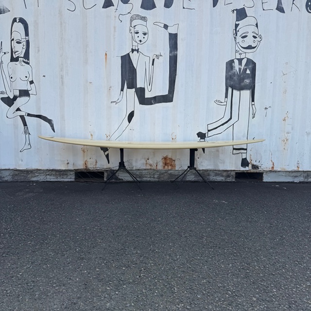 Aquarius ロングボード (コンディションは概ね良好です) Aquarius