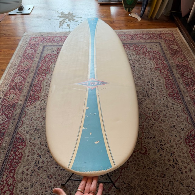 8'0 ビック | BIC- ロングボードの シーコング オンラインストア