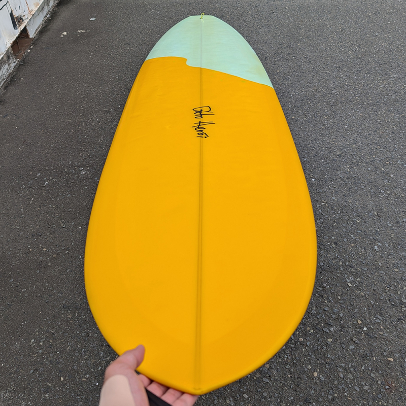 9'3 ガトヘロイ | ニュープレジャー - ロングボード（LONGBOARD）の