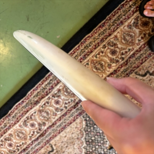 サーファビリー 10f 引取限定 サーファビリー 10f 引取限定 サーファビリー 10f 引取限定 サーファ