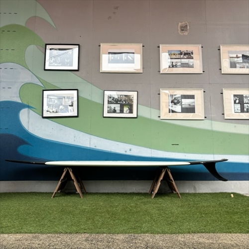 カリフォルニア一流人気ブランドのロングボード専門店シーコングの中古