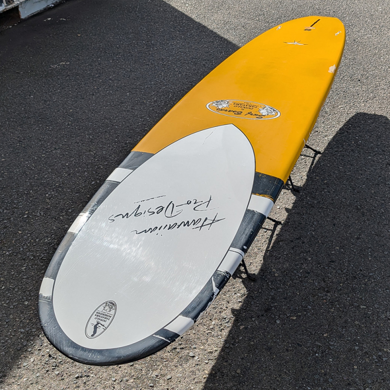 ドナルドタカヤマ インザピンク9'3 インザピンク IN THE PINK サーフボード 9'3