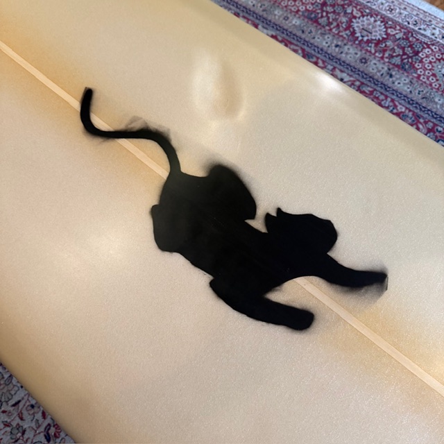 カリフォルニア一流人気ブランドのロングボード専門店シーコングの中古