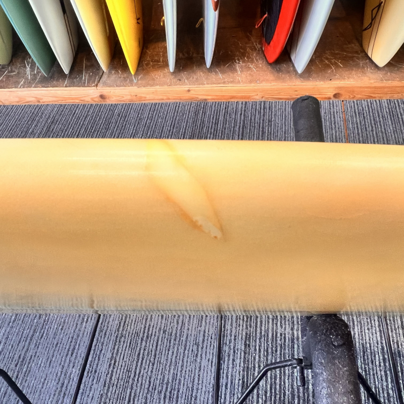 ロングボードの シーコング オンラインストア