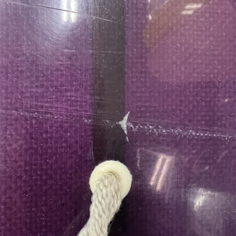 9'6ベルジー | ラウンドピン - ロングボードの シーコング オンライン