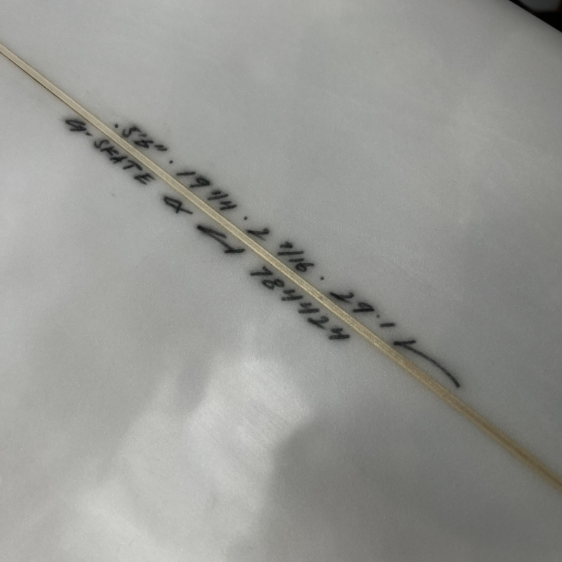 チャンネルアイランド - ロングボード（LONGBOARD）の シーコング