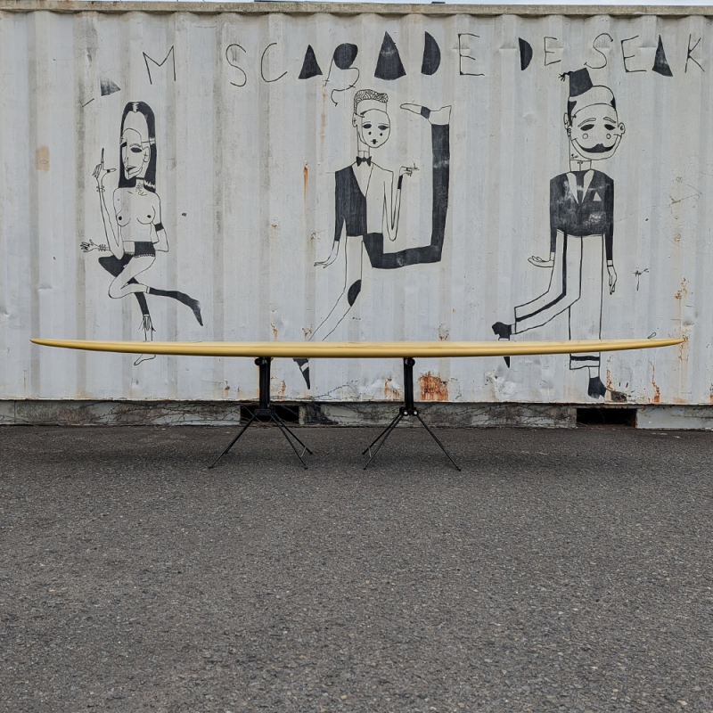 9'9 ガトヘロイ | プレイボーイ - ロングボード（LONGBOARD）の