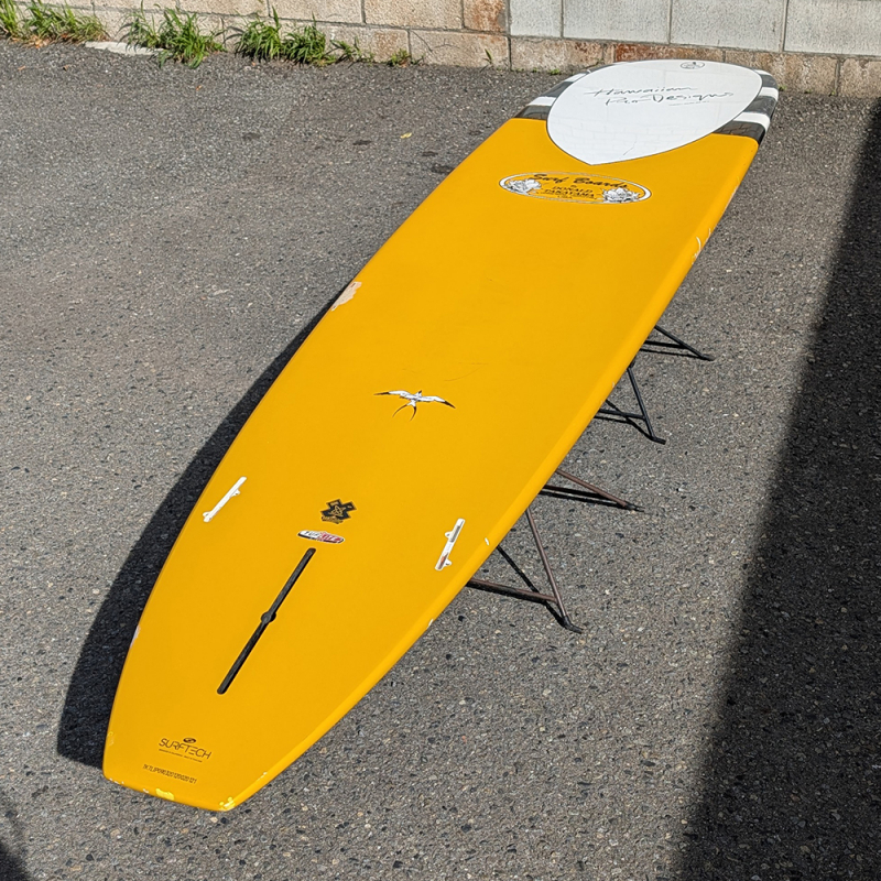 9'3 ハワイアンプロデザイン | インザピンク - ロングボード