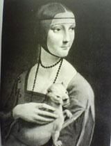 洋書 Animal Rites Gee Vaucher GEE VAUCHER-animal rites BOOK - PUNK AND DESTROY |