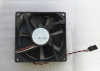 DELL Dimension 2350  CPUե